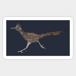 Roadrunner Sticker